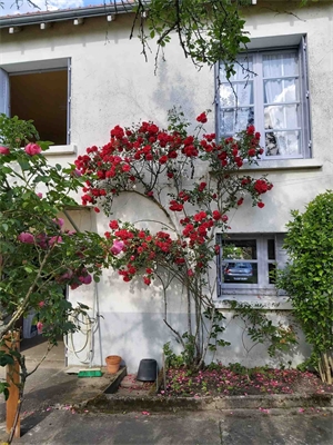 maison-villa à la vente -   37170  CHAMBRAY-LES-TOURS, surface 70,91 m2 vente maison-villa - APR750032